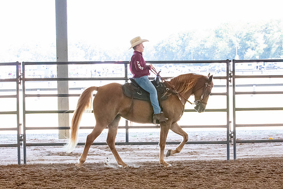FWRHAStateShow-271