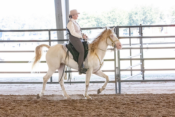 FWRHAStateShow-264