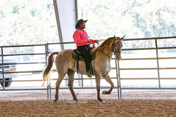 FWRHAStateShow-272