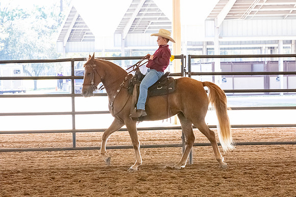 FWRHAStateShow-263