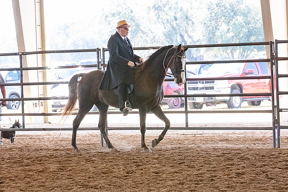 FWRHAStateShow-223