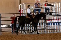 FWRHAStateShow-189