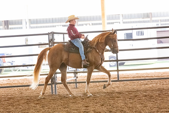 FWRHAStateShow-249