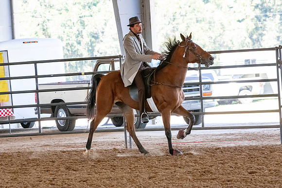 FWRHAStateShow-292