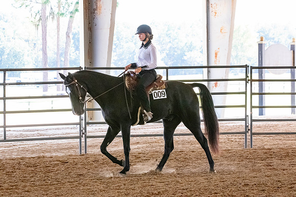 FWRHAStateShow-184