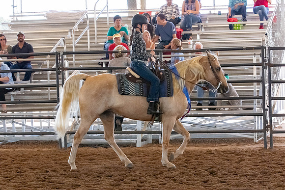 FWRHAStateShow-254