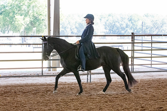 FWRHAStateShow-186