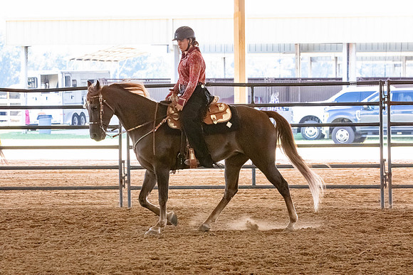 FWRHAStateShow-220
