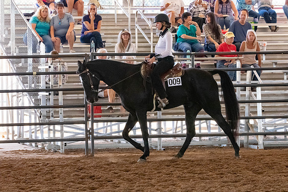 FWRHAStateShow-307