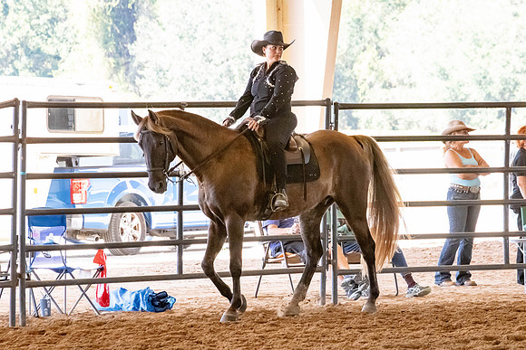 FWRHAStateShow-318