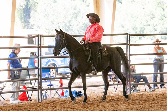 FWRHAStateShow-321
