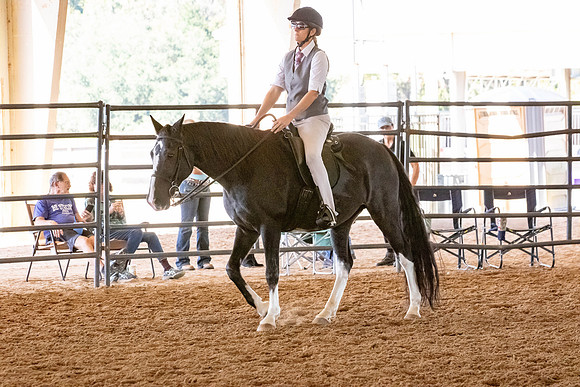 FWRHAStateShow-322