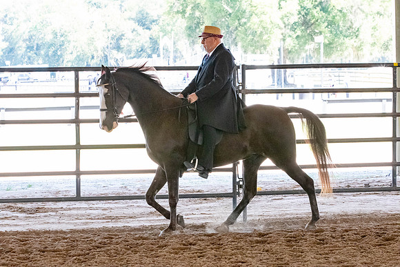 FWRHAStateShow-325