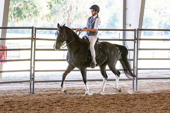FWRHAStateShow-326