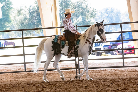 FWRHAStateShow-328
