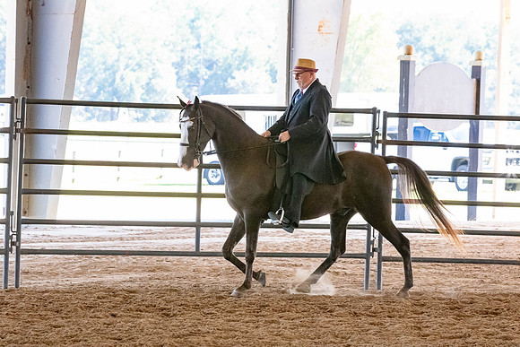 FWRHAStateShow-324
