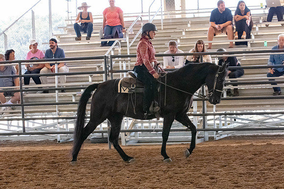 FWRHAStateShow-331
