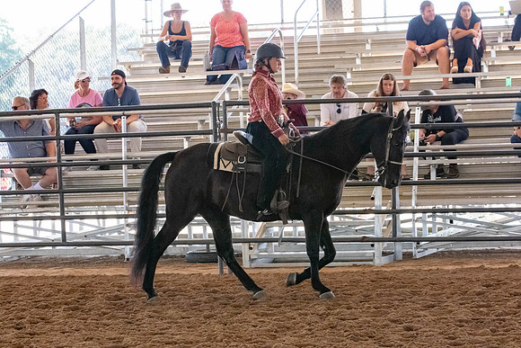 FWRHAStateShow-330