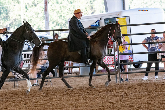 FWRHAStateShow-336