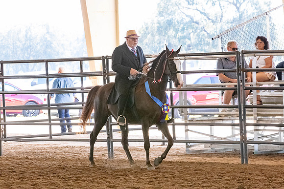 FWRHAStateShow-353