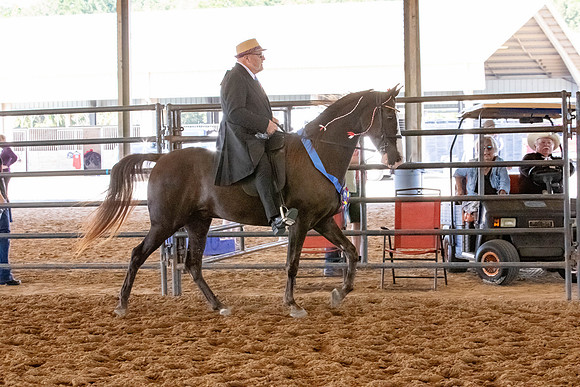 FWRHAStateShow-354
