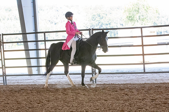 FWRHAStateShow-372