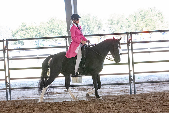 FWRHAStateShow-373