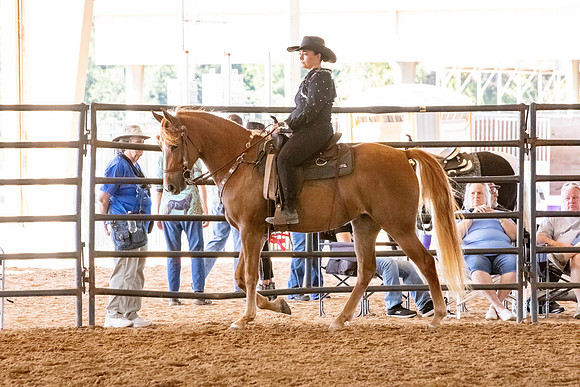 FWRHAStateShow-381