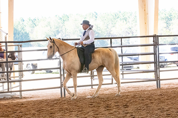 FWRHAStateShow-384