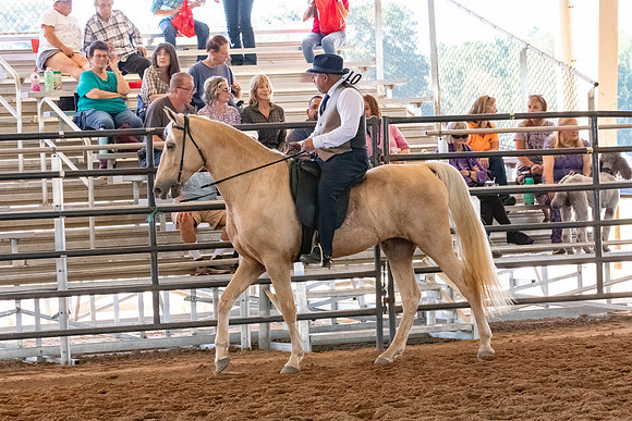 FWRHAStateShow-385