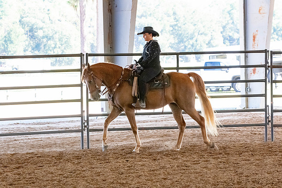 FWRHAStateShow-388