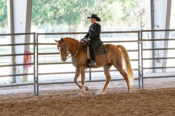 FWRHAStateShow-389