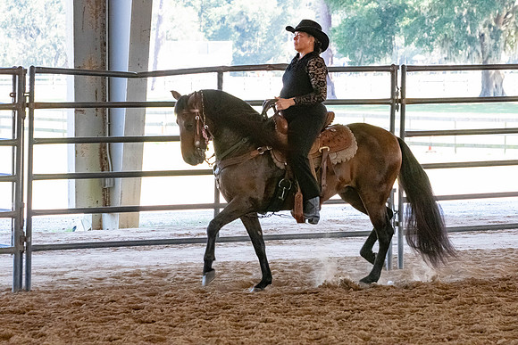FWRHAStateShow-393