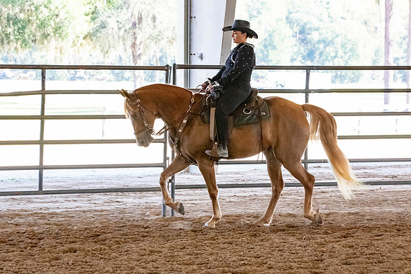 FWRHAStateShow-398
