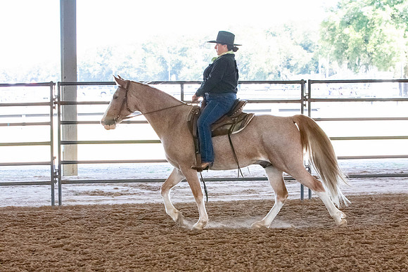 FWRHAStateShow-396