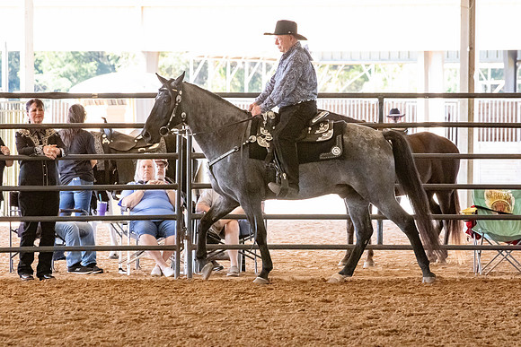 FWRHAStateShow-401