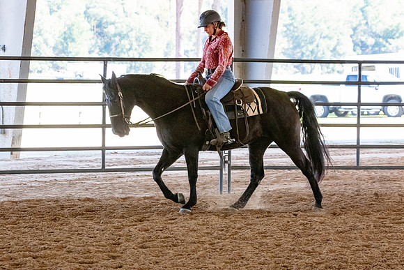 FWRHAStateShow-399