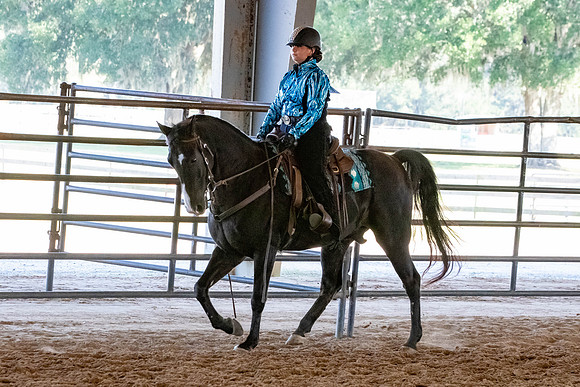 FWRHAStateShow-492