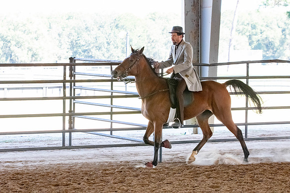 FWRHAStateShow-449