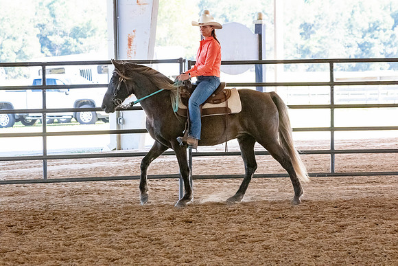 FWRHAStateShow-495