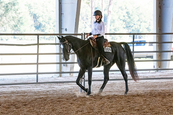 FWRHAStateShow-624