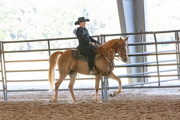 FWRHAStateShow-452