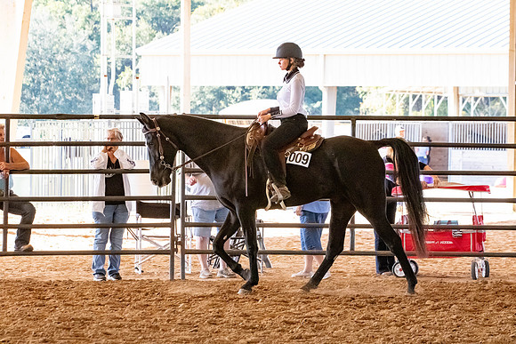 FWRHAStateShow-709