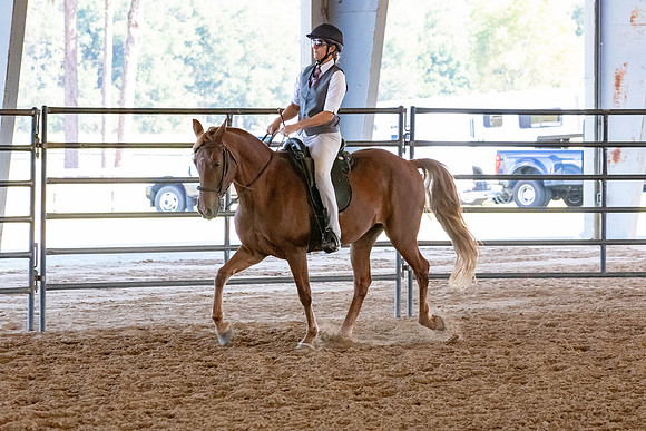 FWRHAStateShow-601