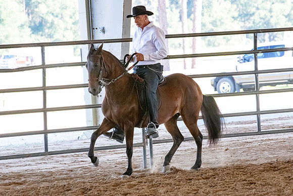 FWRHAStateShow-581