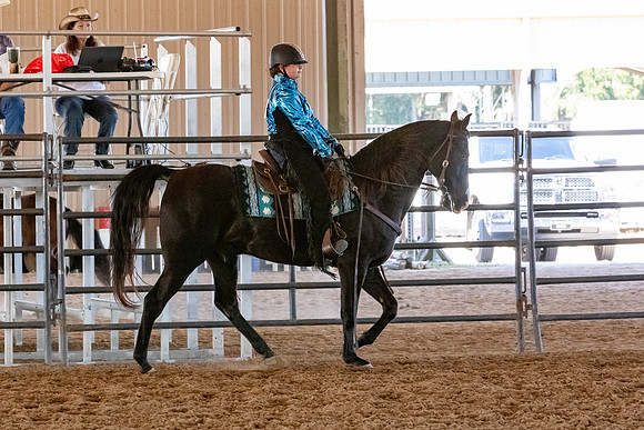 FWRHAStateShow-499
