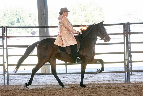 FWRHAStateShow-682