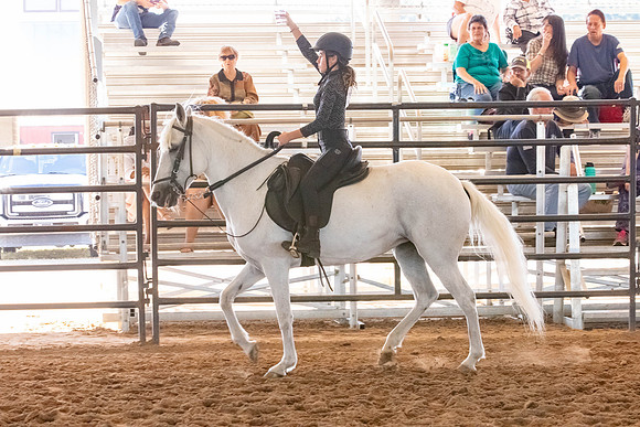 FWRHAStateShow-659
