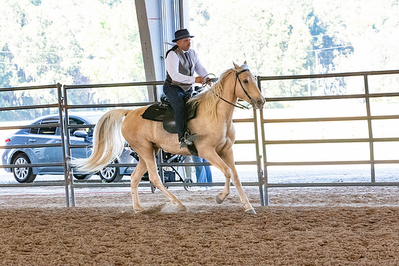 FWRHAStateShow-637