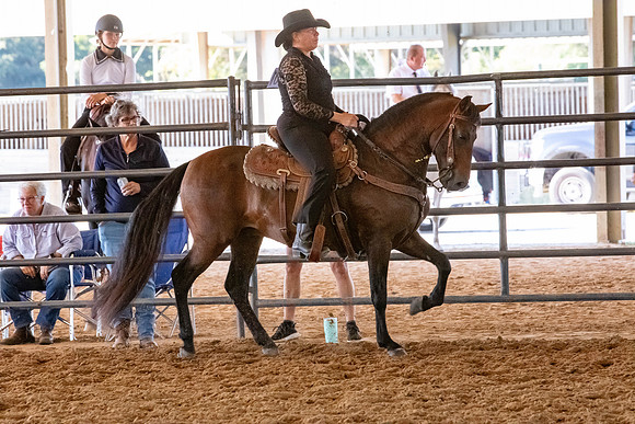FWRHAStateShow-585